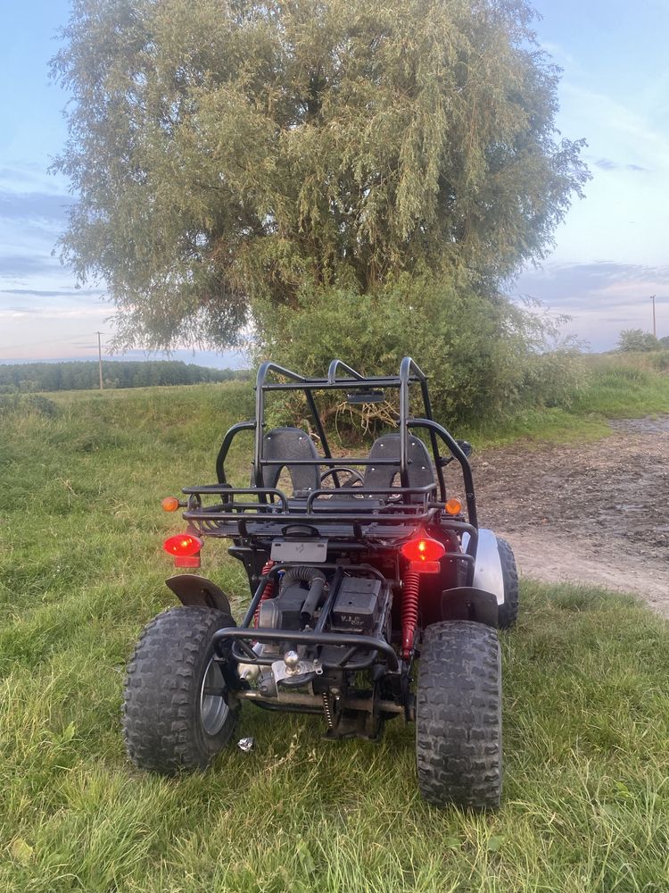 Продам доросле баггі, в чудовому стані !
