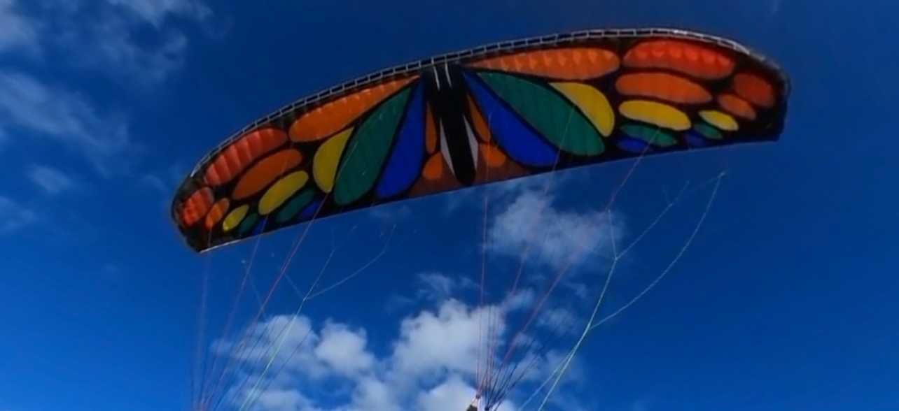 Asa Paramotor AirDisegn Rama Flex Versão "Butterfly"