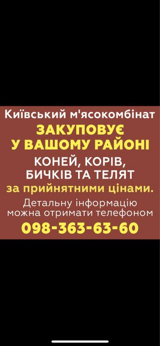 Продам корову детали по телефону