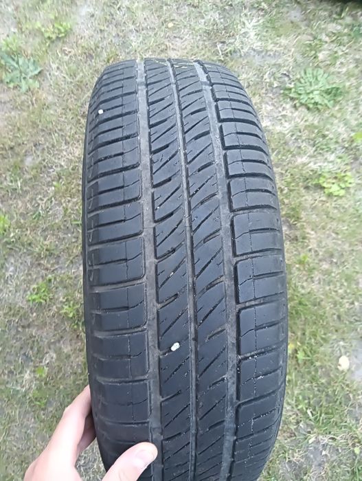 Debica passio 175/65 R14