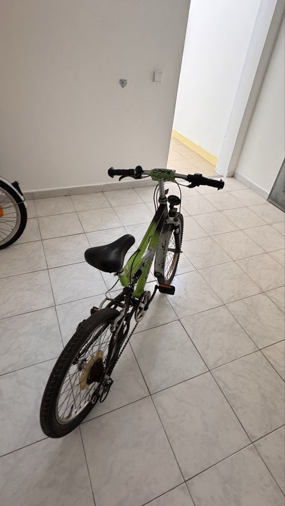 Bicicleta