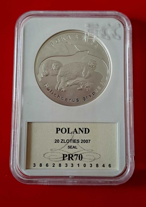 Foka Szara 20 zł moneta grading PR70