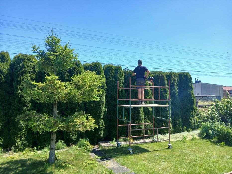 Prace ogrodnicze cięcie,koszenie, wertykulacja, glebogryzarka