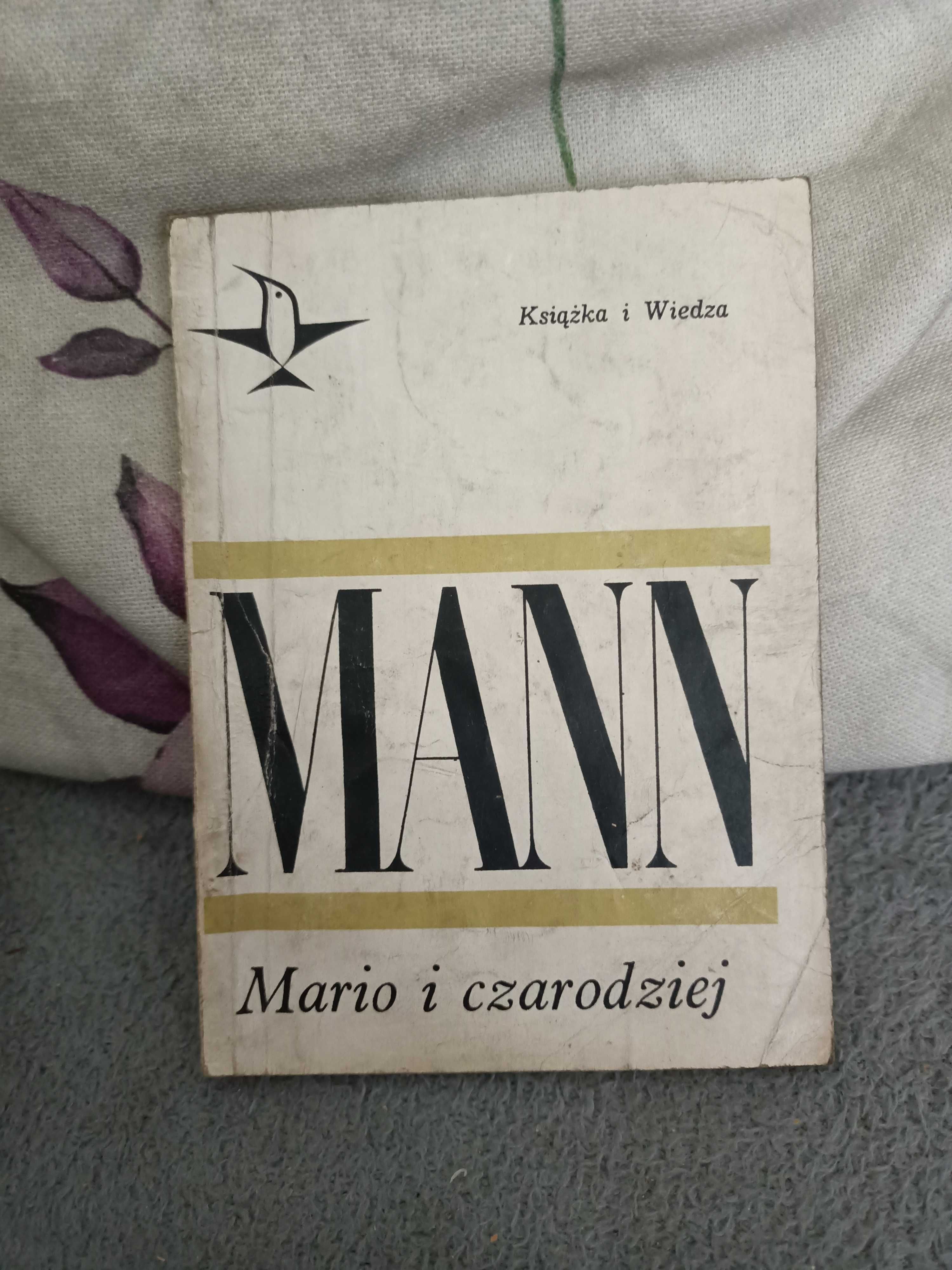 Mann - Mario i czarodziej