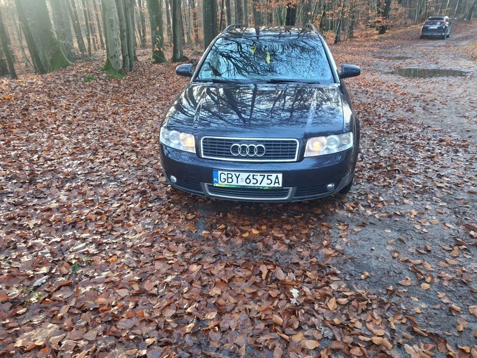 Audi a4b6 2.4 lpg