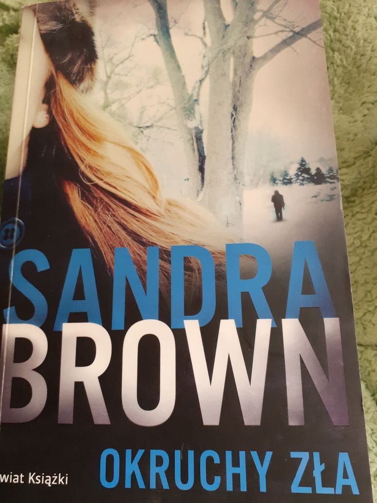 Okruchy zła Sandra Brown