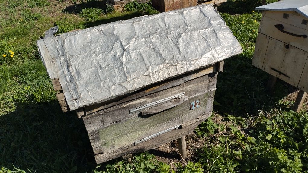 Продам пасіку з 9 вуликів без бджіл.