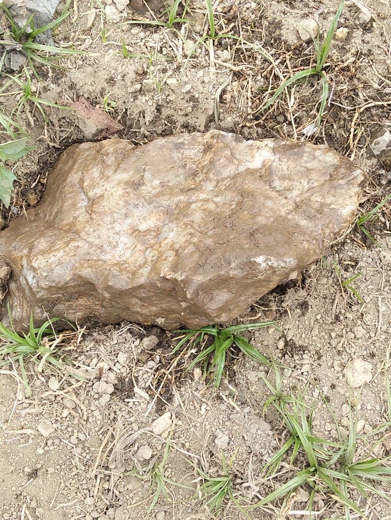 Quartzo com pirita possibilidade de ouro