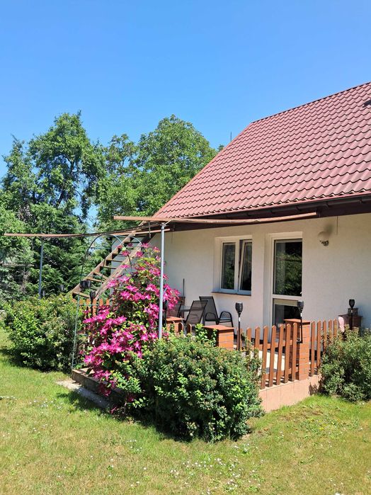 Dom z dużą działką