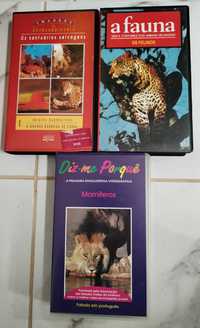 Lote de VHS Animais