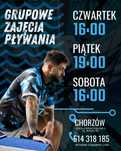 Grupowe zajęcia pływania - grupy pływackie - nauka pływania w grupach