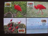 Tobago -Maxim karty-Ptaki, Ibis -WWF