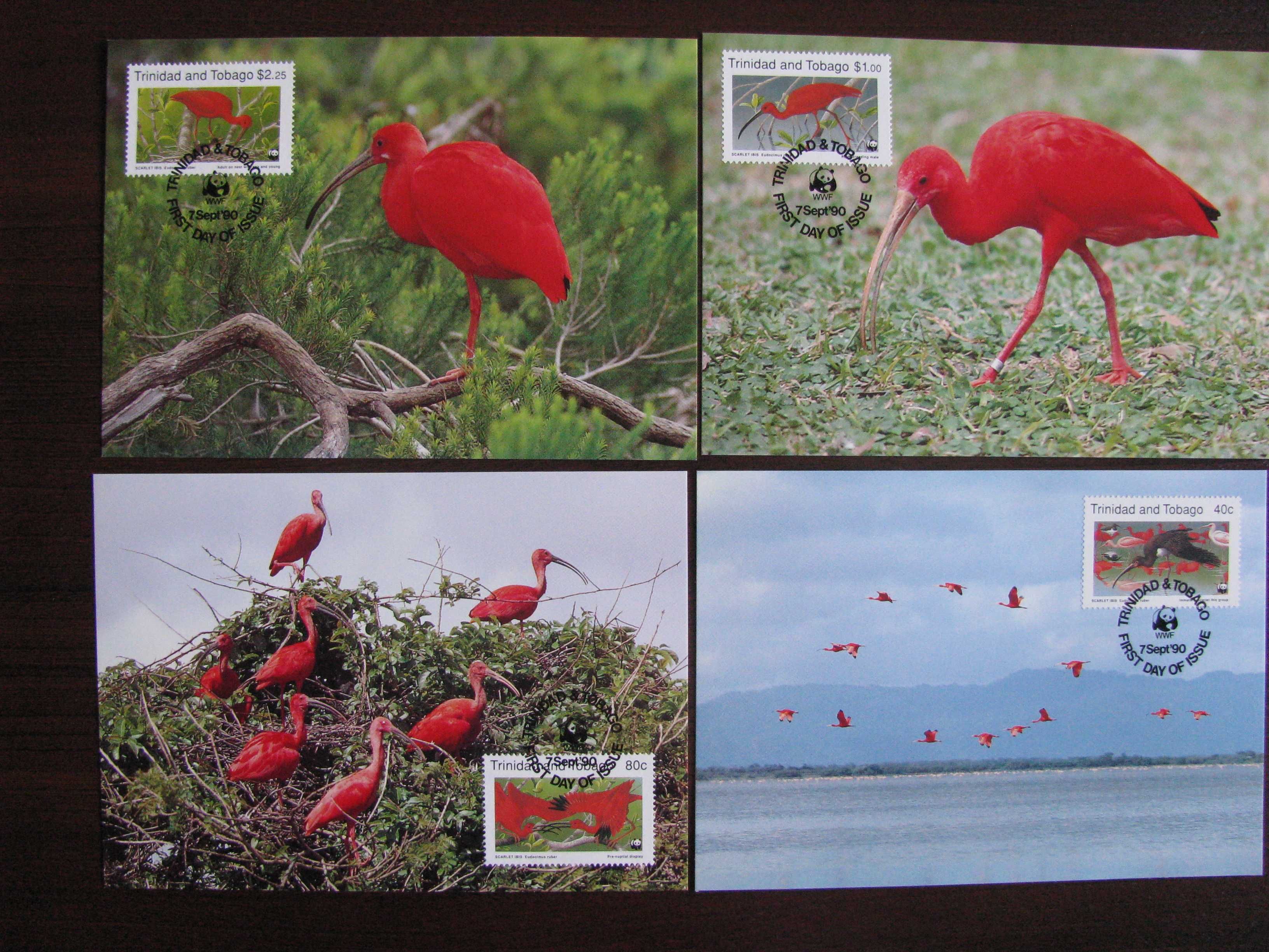 Tobago -Maxim karty-Ptaki, Ibis -WWF
