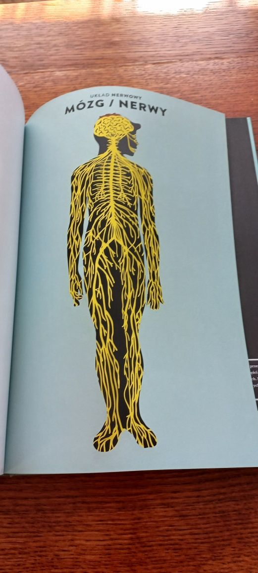 Anatomia piękny album dla dzieci