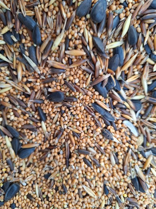 Pokarm dla papugi falistej 20 kg. GRATIS 200 G PROSA SENEGALSKIEGO