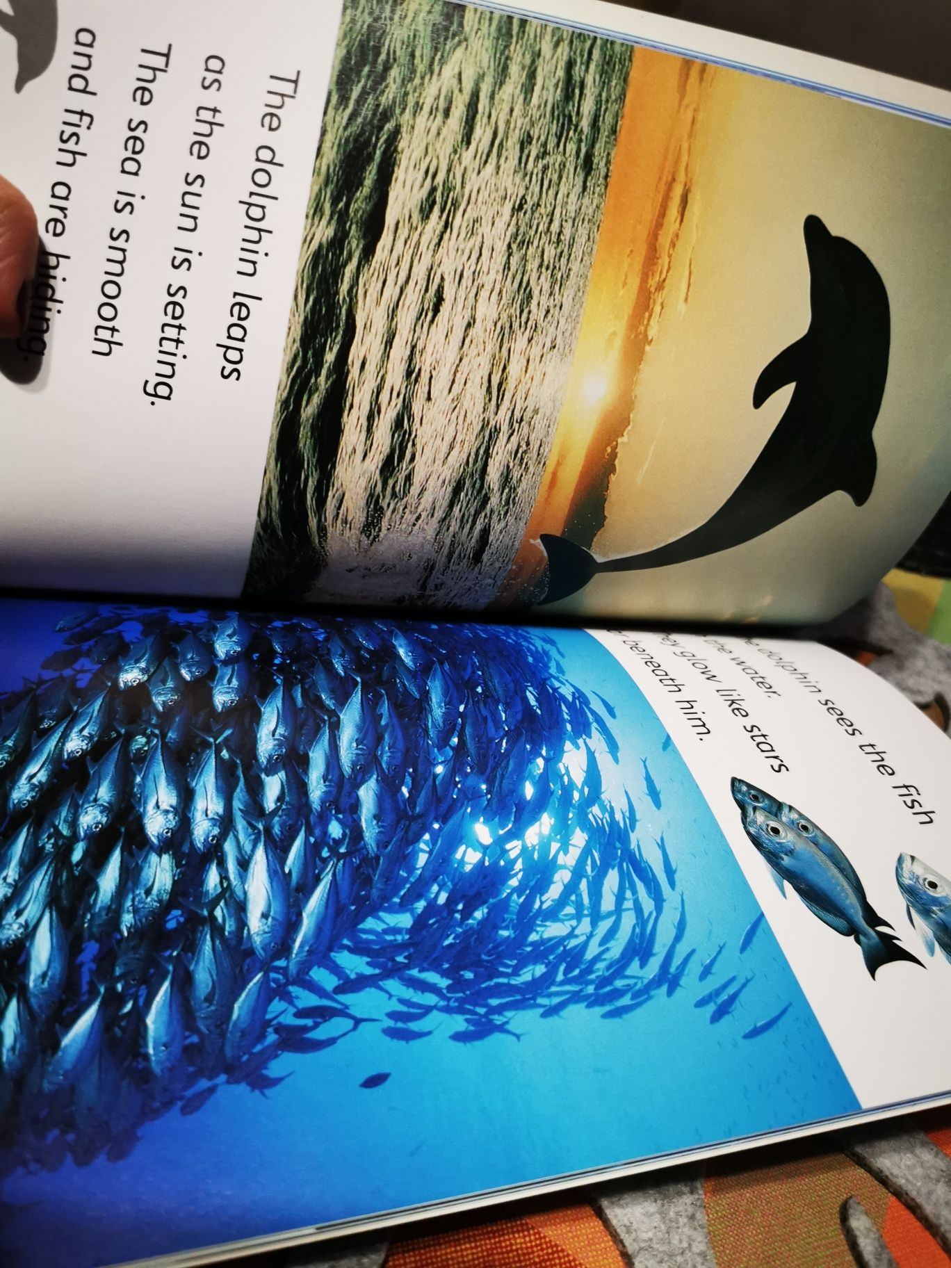 Diving Dolphin ksiazka dla dzieci po angielsku, lev 1