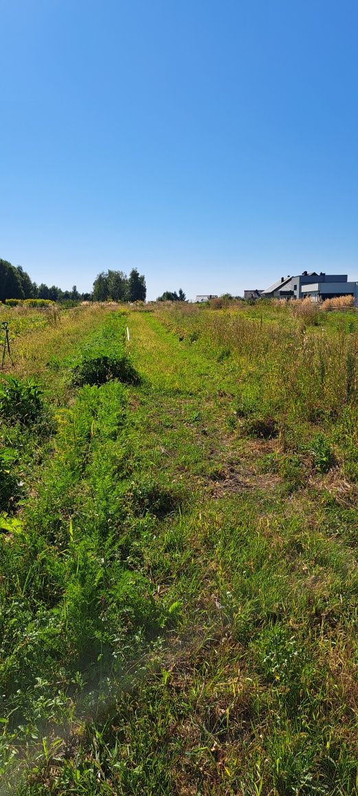 Sprzedam działki budowlane Pszów  Krzyżkowice