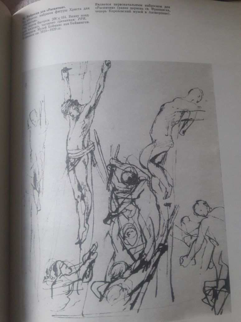 Книга рисунки Рубенса