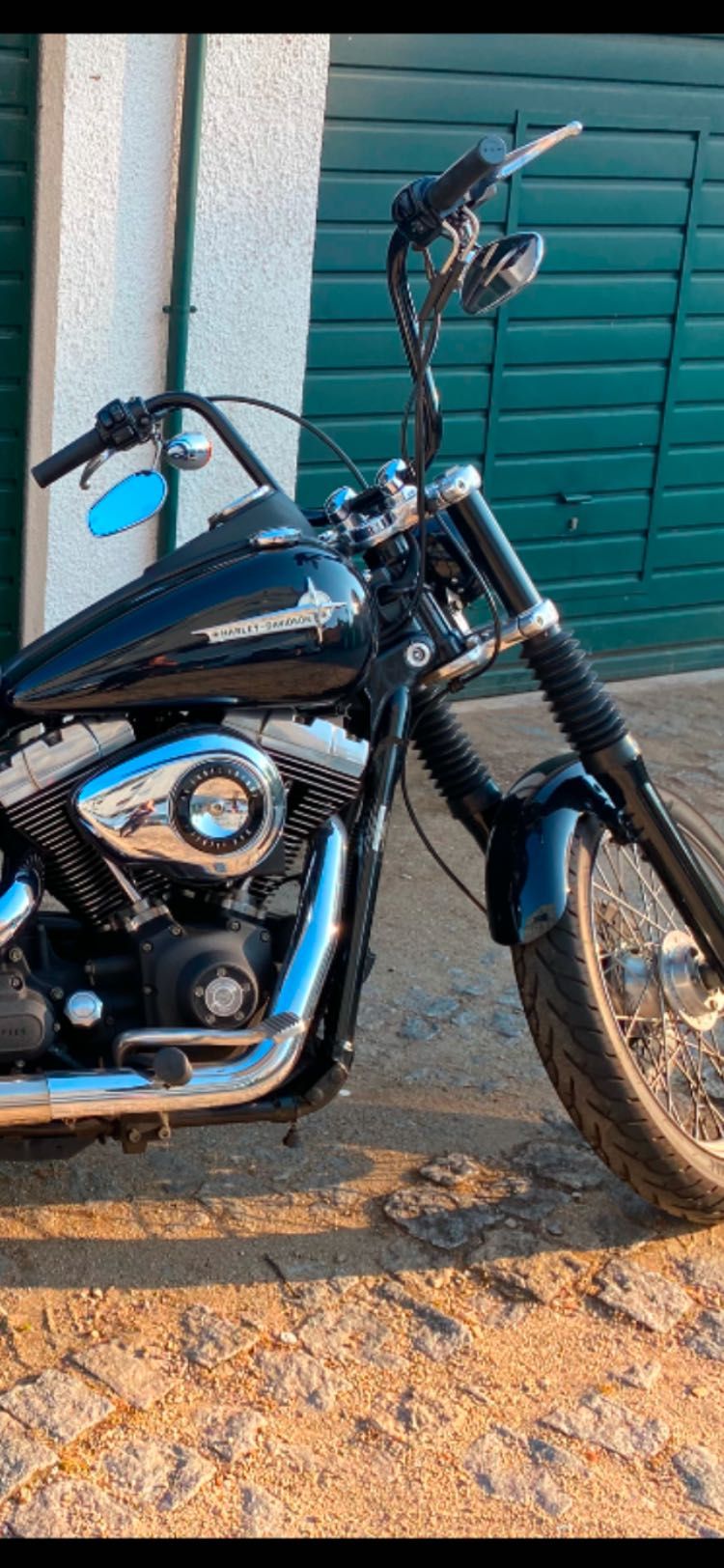 Harley street bob