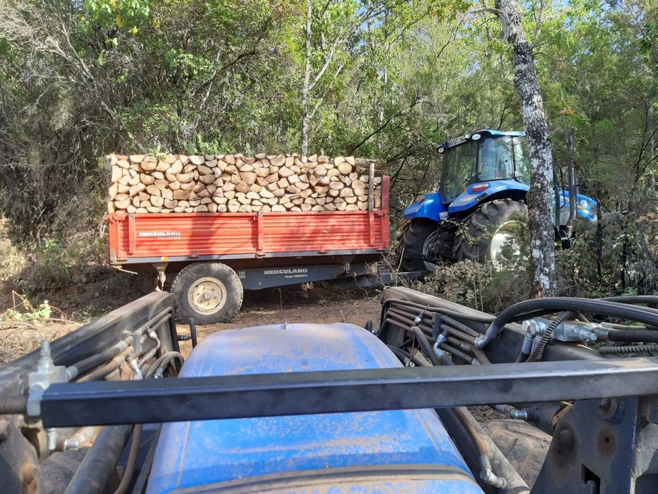 Vendo vario tipo de lenha