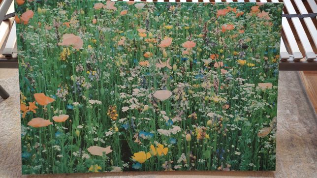 Obraz Ikea, Kwiaty polne, 118/78cm;