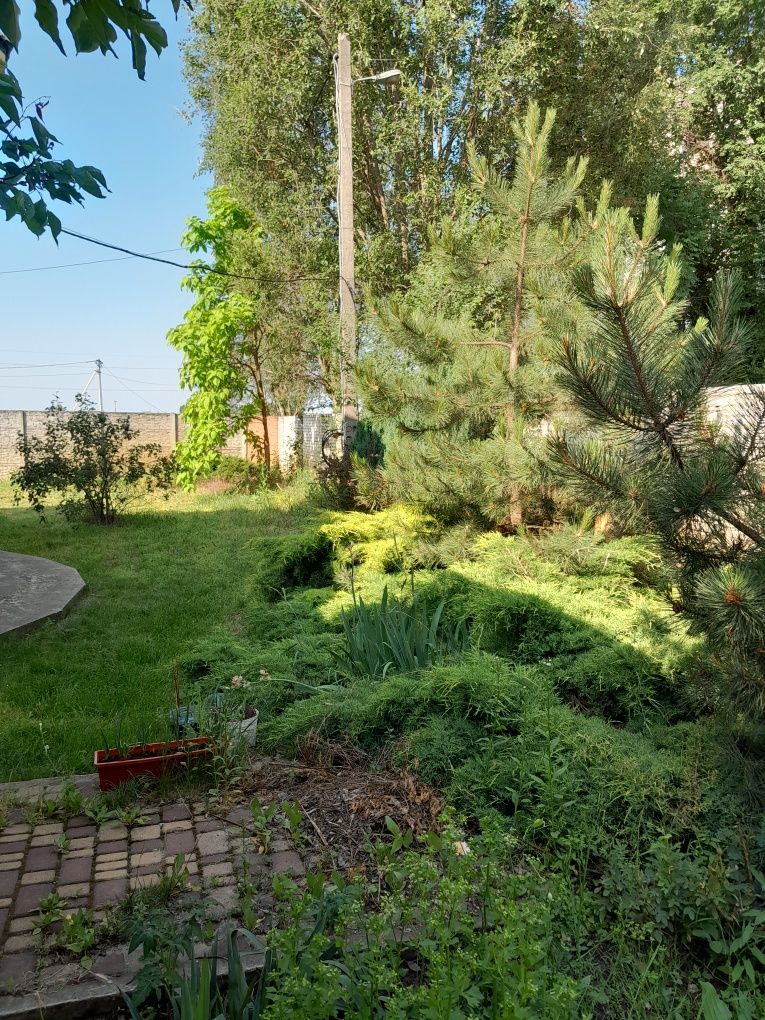 Дом в пригороде Днепра
