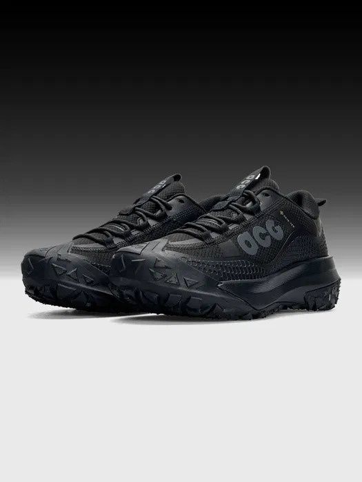 Зимові кросівки Nike ACG Mountain Fly Gore tex термо / осінь-зима