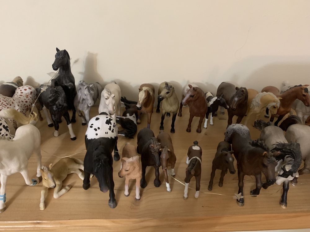 Kolekcja schleich