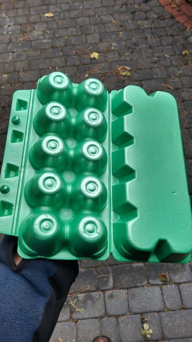 Wydmuszki na jajka  - 10cio pak