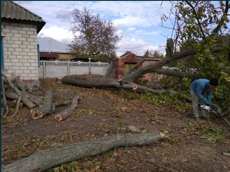 Недорого!Уборка Участка/Спил дерева/ Бетона отмостка/ Пол/Вывоз мусора