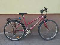 Rower schwinn impact.