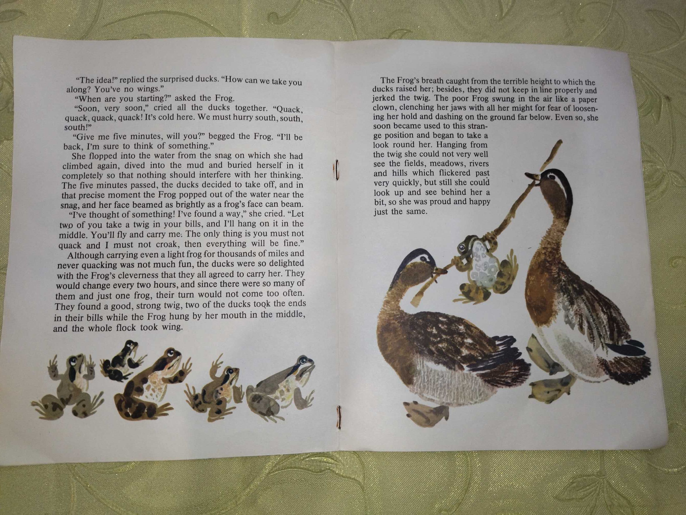 Детская книга В. Гаршин "Лягушка-путешественница" на английском языке