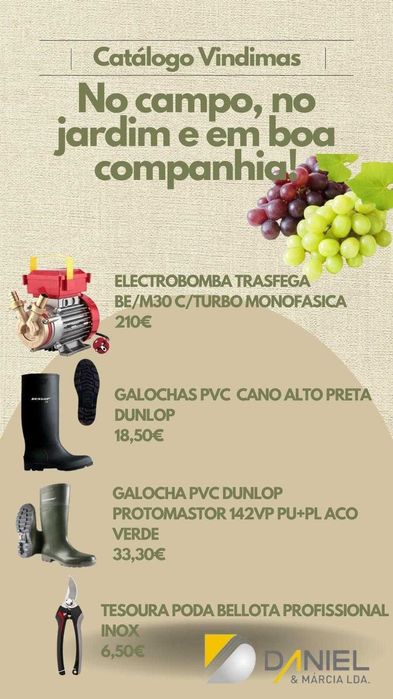 galochas e motor trasfega