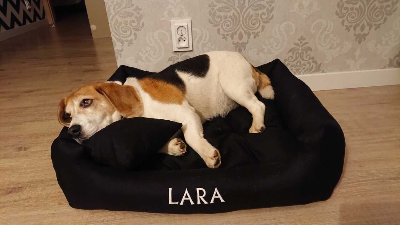 Nowe legowisko dla psa haft z imieniem + GRATIS poduszka