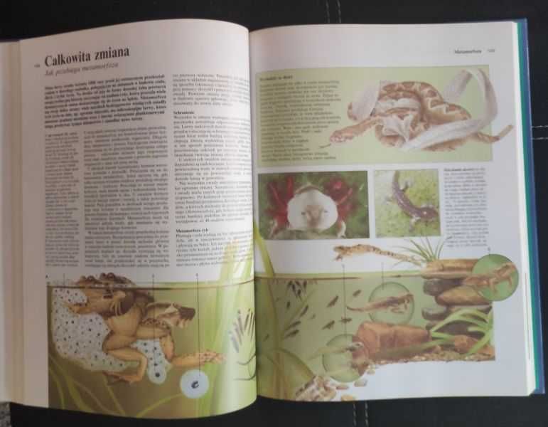 Albumy przyrodnicze/ Świat Książki, Przegląd Readers Digers/ 2 tomy