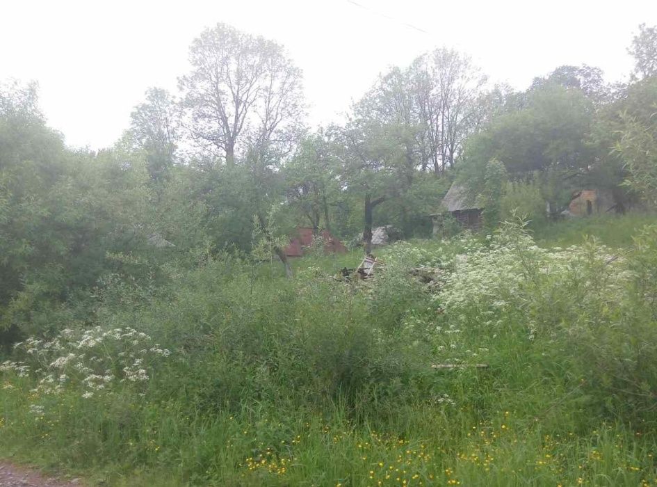 продам земельну ділянку в селі Річка