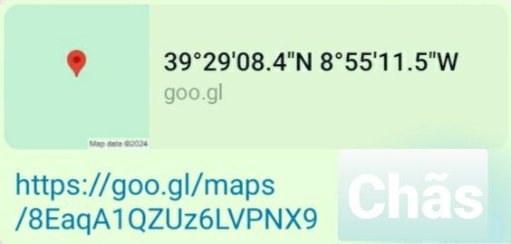 Casal da Charneca 6300m2 terreno plantação de eucaliptos