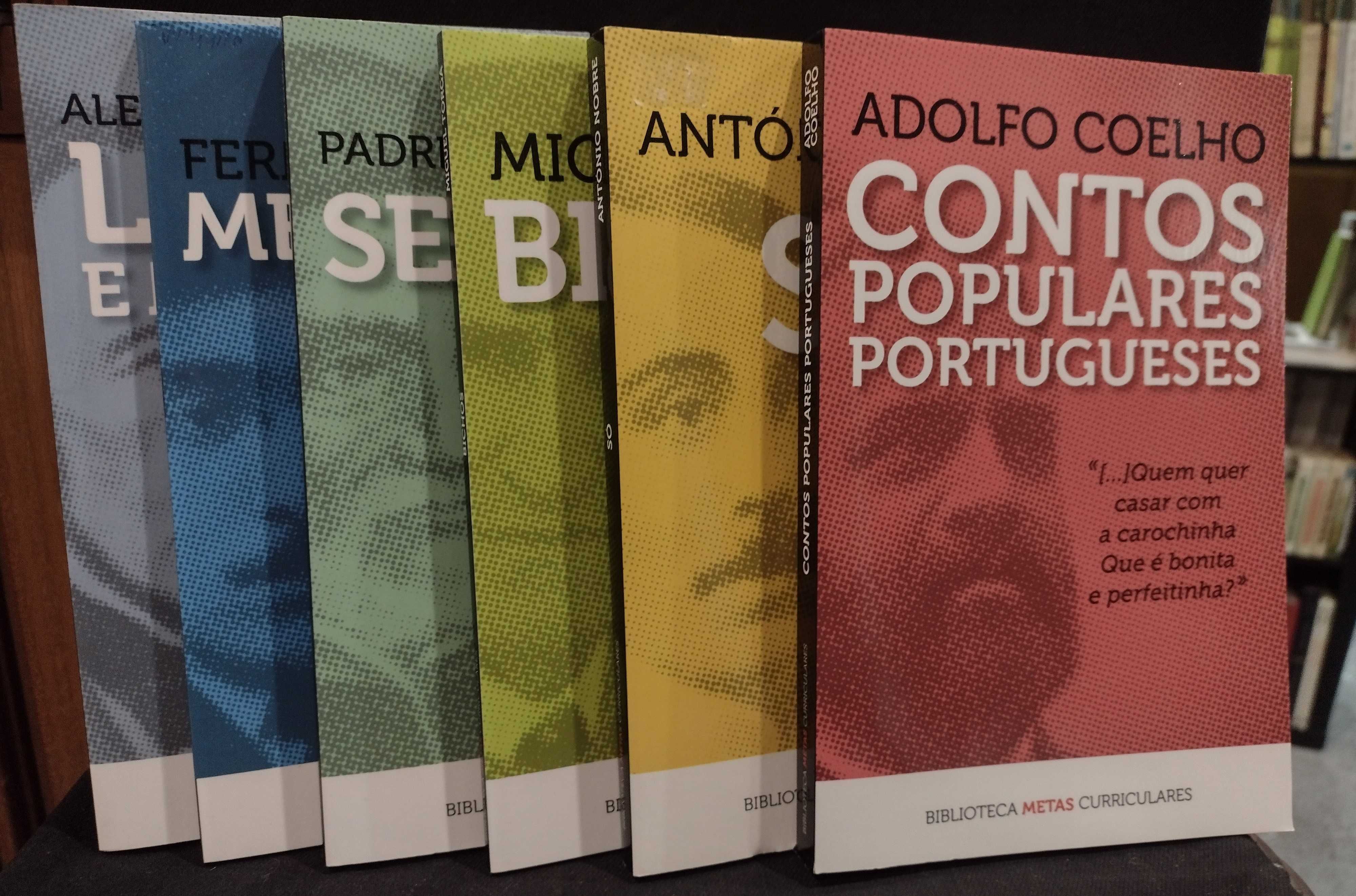 Biblioteca Meta Curricular vários Autores 6 Exemplares