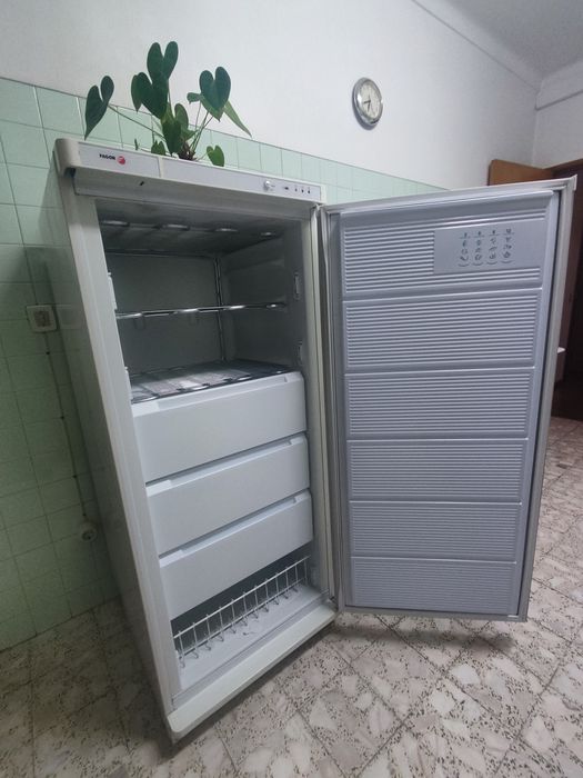 Arca congeladora vertical Fagor
