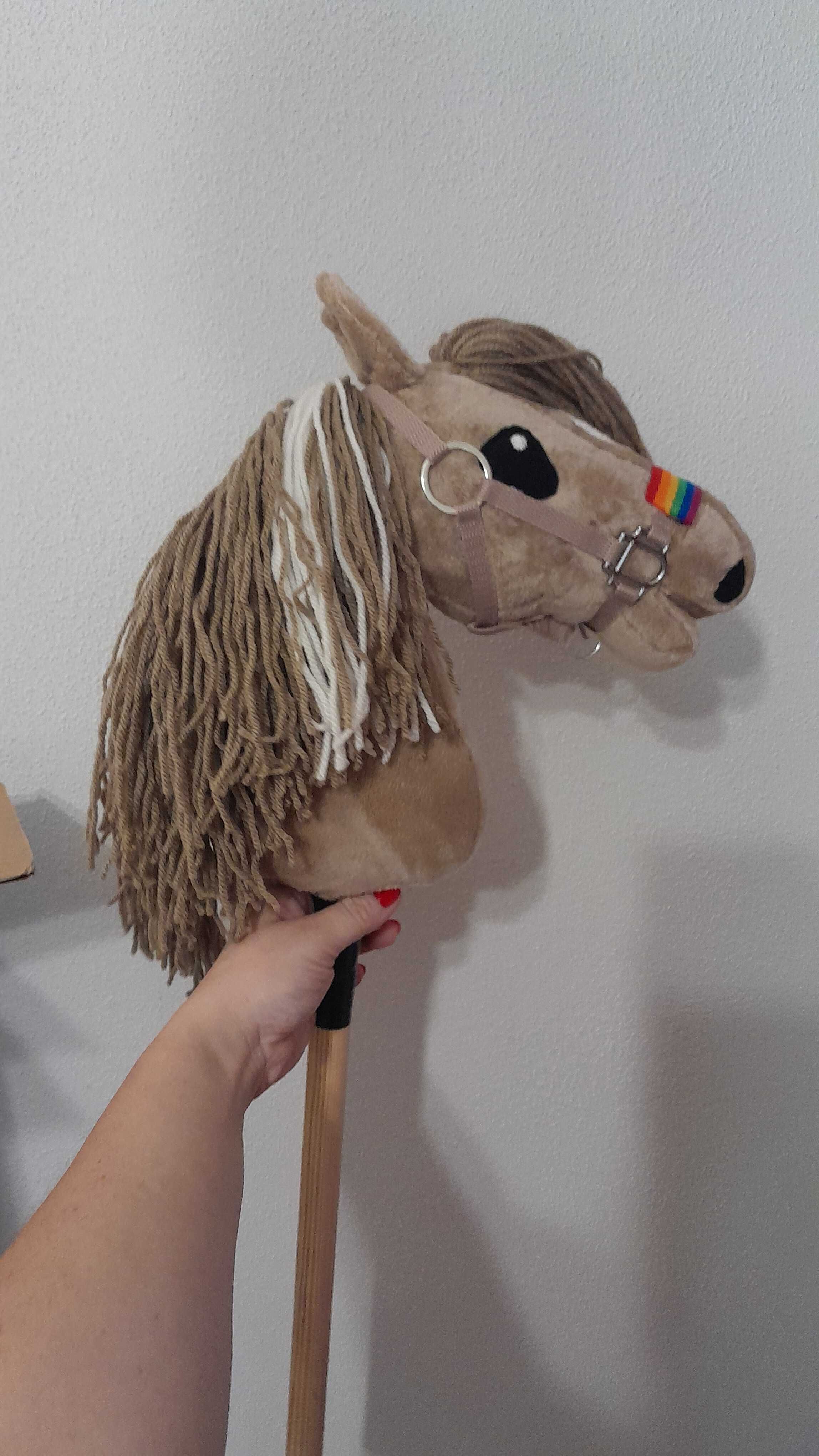 Hobby horse konik