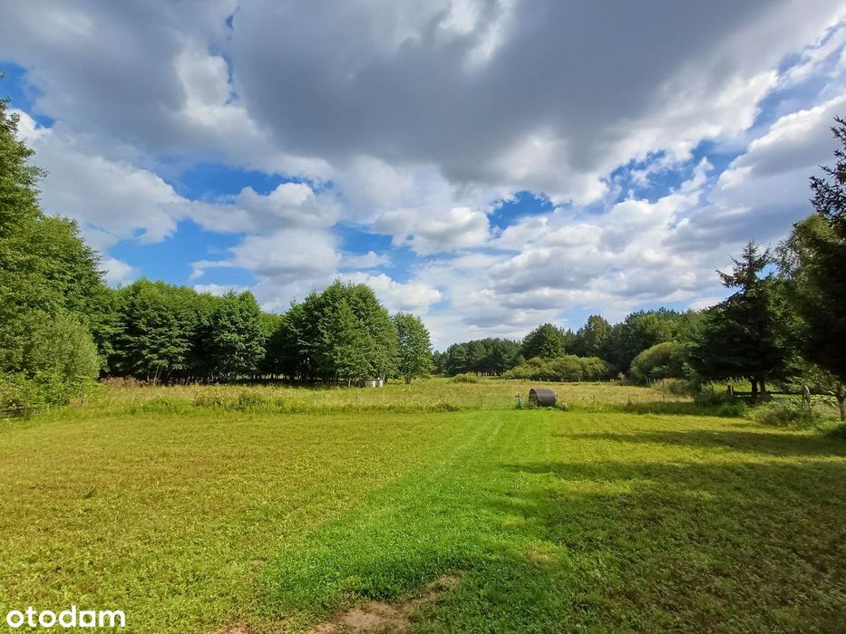 Dwie Działki z Linią Brzegową Jeziora, Stawy, Warunki WZ Dom Stajnia