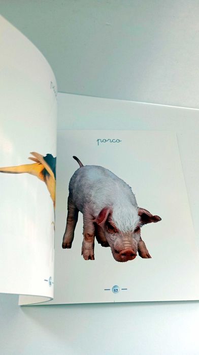 Lua Cheia - 1/2 anos (livro de imagens Nº 2)