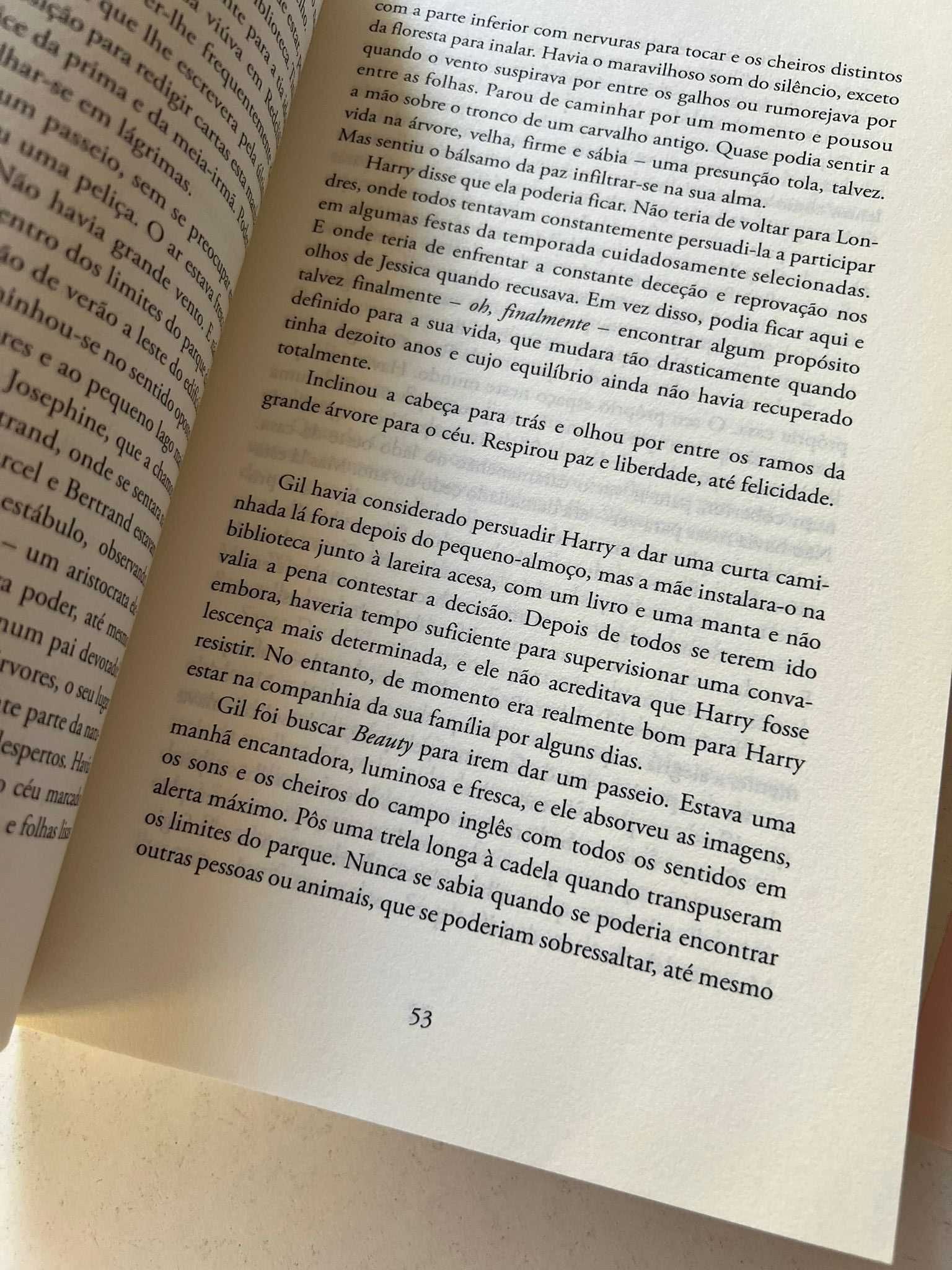 Livro - Honra e Paixão (ctt editorial grátis)