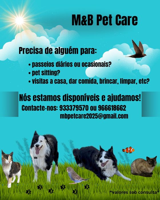 M&B Pet Care: petsitting, passeios diários ou ocasionais, cuidar…