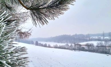 Ciesz się widokiem na jezioro każdego dnia! Sprzedaż bezpośrednia