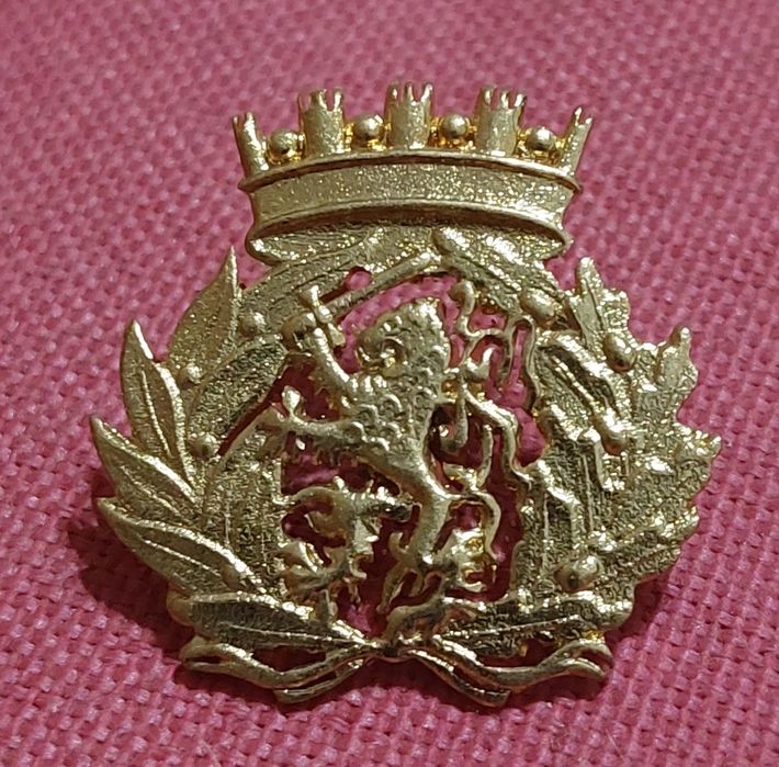 Insígnias  militares de boina    Exército