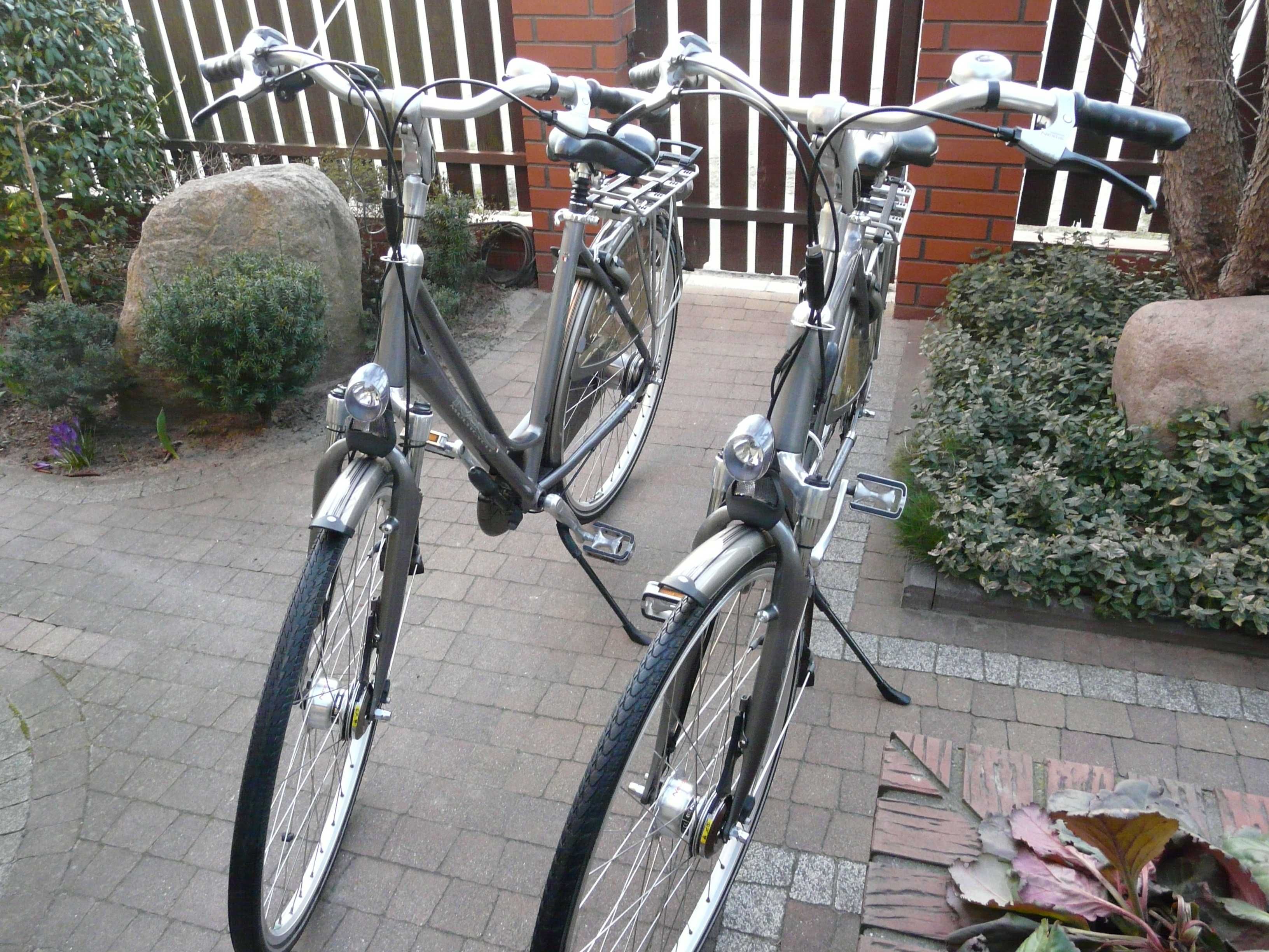 Rower miejski MC Multi Cycle Image  PARA 28"/53 i 57 - Niderland