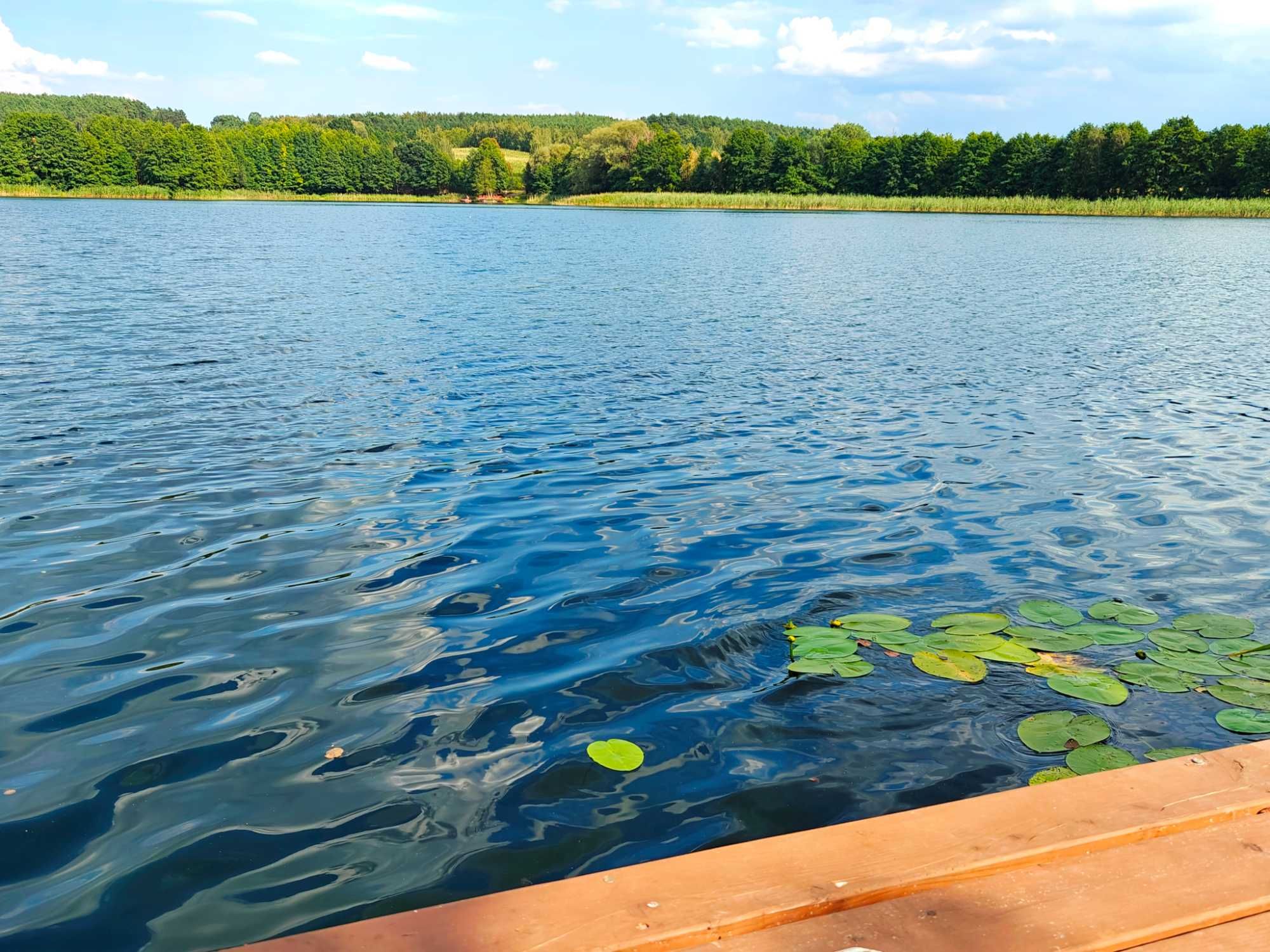Dom nad jeziorem z linią brzegową - piękny widok na jezioro