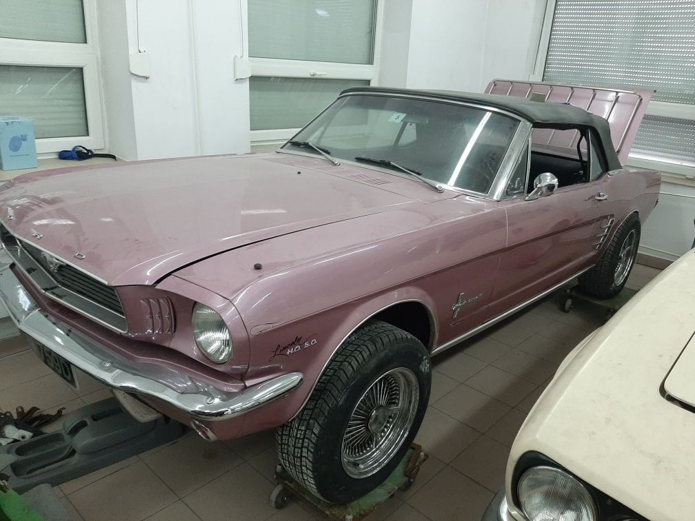 Sprzedam Ford Mustang 1966 v8 5.0 302
