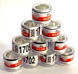 Obrączki na gołębie pocztowe na 2025 rok